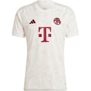 2023-2024 Bayern Munich Third Shirt