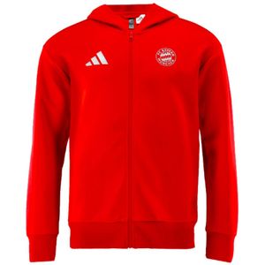 2024-2025 Bayern Munich Anthem Jacket (Red)