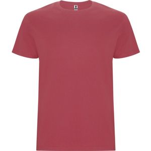 Roly Kinder/Kinder Stafford T-shirt met korte mouwen (104) (Rode chrysant)