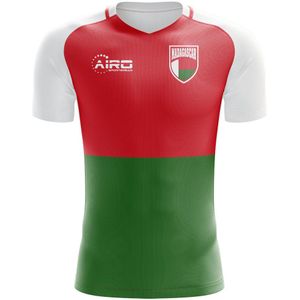 2022-2023 Madagascar Home Concept Football Shirt - Adult Long Sleeve