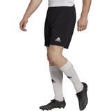 Adidas Entrada 22 shorts H57504