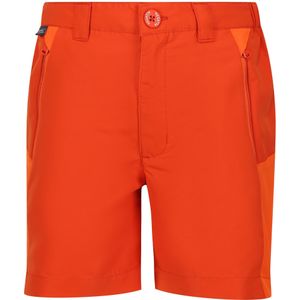 Regatta Kinderen/Kinderen Sorcer Mountain III Korte broek (140) (Roestig oranje/Blauw oranje)