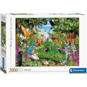 Puzzel 2000 stukjes Clementoni - Fantastisch bos