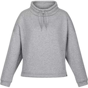 Regatta Dames/Dames Janelle Marl Jersey Sweatshirt (34 DE) (Stormgrijs)