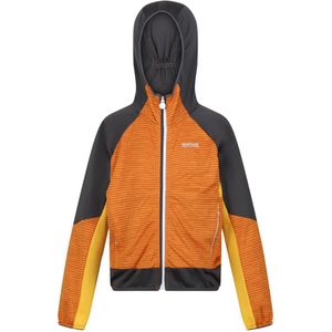 Regatta Kinder/Kids Prenton II Hooded Soft Shell Jacket (164) (Oranje peper/Grijs)