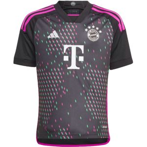Adidas Fc Bayern 23/24 Junior Short Sleeve T-shirt Away Grijs 13-14 Years