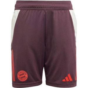 2024-2025 Bayern Munich Training Shorts (Shadow Maroon) - Kids