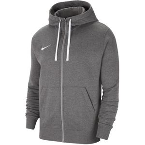 Nike Park 20 hoodie CW6887-071