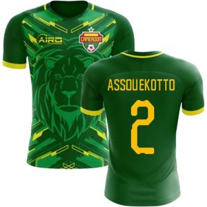 2022-2023 Cameroon Home Concept Football Shirt (Assou-Ekotto 2)