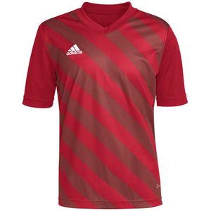 adidas - Entrada 22 GFX Jersey Youth - Rood Voetbalshirt - 116