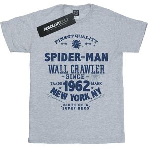 Marvel Meisjes Spider-Man fijnste kwaliteit katoen T-shirt (152-158) (Sportgrijs)