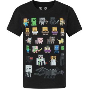 Minecraft Officieel Jongens Sprites Sterren T-Shirt (9-10 Jahre (140)) (Zwart)