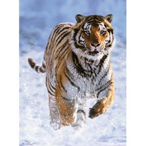 Puzzel Ravensburger - Tijger in de sneeuw, 500 stukjes