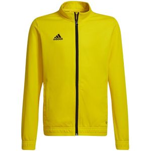 adidas - Entrada 22 Track jacket Youth - Geel Trainingsjack - 140