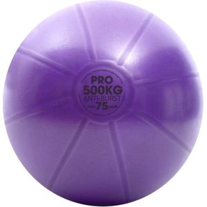 Fitness Mad Studio Pro Zwitserse Bal (75 cm) (Paars)