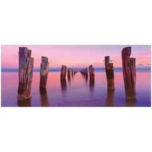 Schmidt panoramische puzzel - Mark Gray: Clifton Springs, Victoria, Australië, 136 stukjes