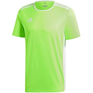 adidas - Entrada 18 Jersey - Groen Voetbalshirt - M
