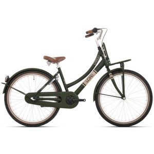Bikefun Fiets Bike Fun 24 inch Load | Nexus-3 | Elegance Groen