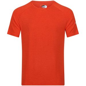 Regatta Heren Ambulo T-Shirt (XL) (Roestige sinaasappel)