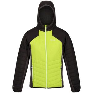 Regatta Heren Trutton Hooded Soft Shell Jacket (XL) (Helder kiwi/zwart)