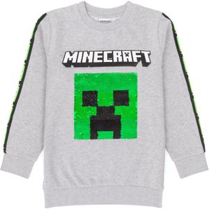 Minecraft Kinderen/Kinderen Sequin Flip Sweatshirt (128) (Grijs)