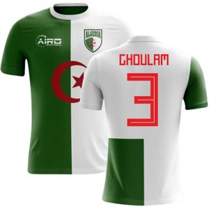 2022-2023 Algeria Home Concept Football Shirt (Ghoulam 3)