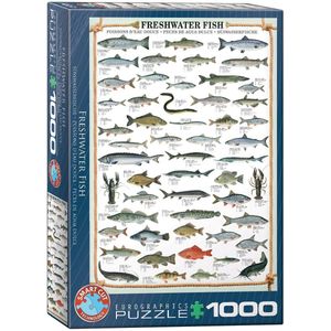 Puzzel Eurographics - Susswasserfische, 1000 stukjes