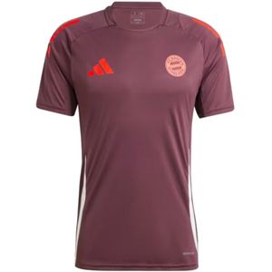 2024-2025 Bayern Munich Training Shirt (Shadow Maroon)