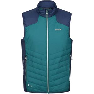 Regatta Heren Halton VI Lichtgewicht Body Warmer (3XL) (Pacific Groen/Admiraal Blauw)