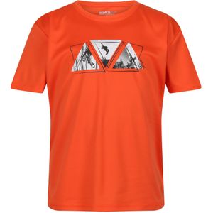 Regatta Kinderen/Kinderen Alvarado VII Driehoek T-Shirt (116) (Blaze Oranje)