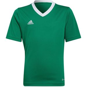 adidas - Entrada 22 Jersey Youth - Groen Voetbalshirt - 128