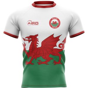 2022-2023 Wales Flag Concept Rugby Shirt - Womens