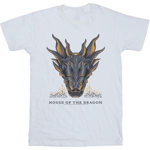 Game Of Thrones: House Of The Dragon Mens Dragon Flames T-Shirt