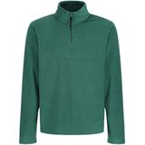 Regatta - Heren Micro Zip Turtle Neck Fleece Sweater (XL) (Groen)