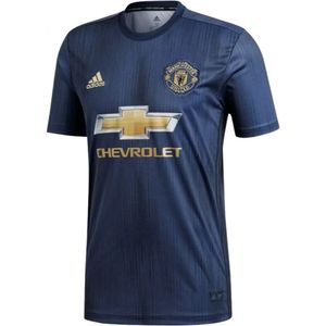 Manchester United 2018-19 Third Shirt (Mint)