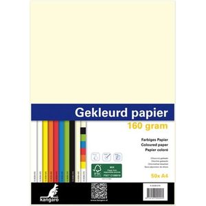 Kopieerpapier A4 160gr 50vel Assorti Kleuren