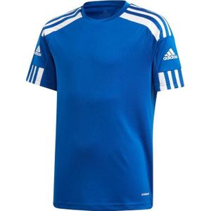 ADIDAS - squad 21 jsy y - Blauw