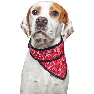 Aqua coolkeeper Bandana aqua coolkeeper red western