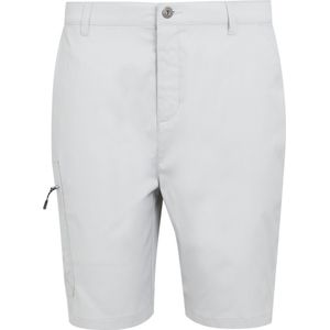 Regatta Heren Dalry Multi Pocket Korte Broek (40R) (Zilvergrijs)