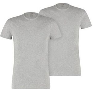 Puma Unisex T-shirt voor volwassenen (set van 2) (S) (Grijze Mergel)