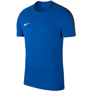 Nike Dry Academy 18 Top T-Shirt 893693-463