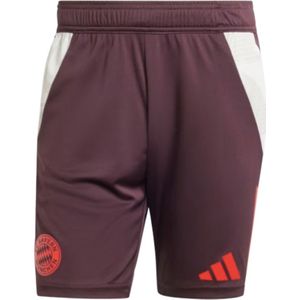 2024-2025 Bayern Munich Training Shorts (Shadow Maroon)