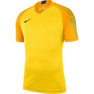 Nike Gardien II goalkeeper jersey 894512-719
