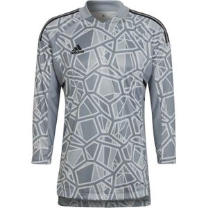 Adidas Tiro 23 Competition Goalkeeper Sweatshirt HK7694