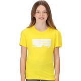 Regatta Kinderen/Kinderen Zonsondergang T-Shirt (128) (Maïs Geel)