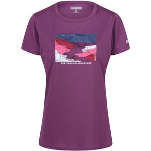 Regatta Dames/Dames Fingal VIII Terrein T-Shirt (46 DE) (Zonsondergang Paars)