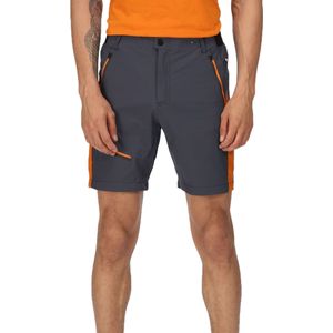 Regatta Heren Highton Pro Shorts (50 DE R) (India Grijs/Vos)