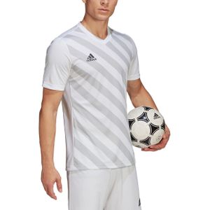 adidas - Entrada 22 GFX Jersey - Wit Voetbalshirt - XL
