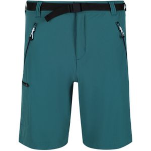 Regatta Heren Xert III Stretch Shorts (46 DE R) (Pacifisch Groen)