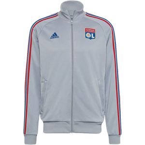 2022-2023 Olympique Lyon DNA Track Top (Halo Silver)